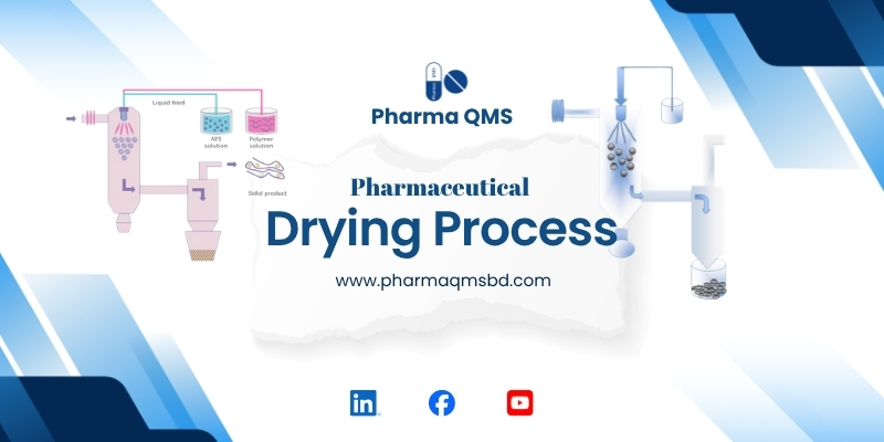 Pharmaceuticals Drying Process